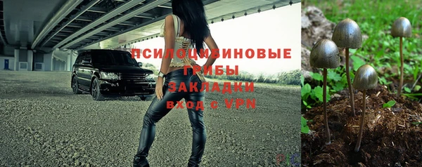дживик Аркадак