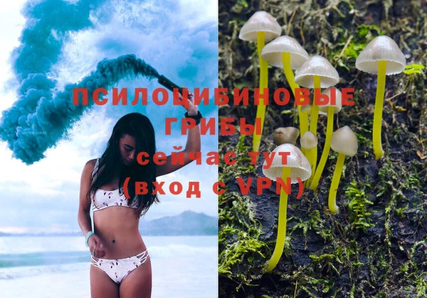 эйфоретик Богданович