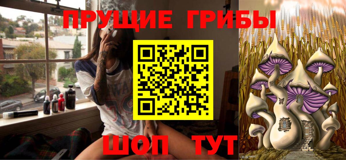 Галлюциногенные грибы Psilocybe Новомосковск