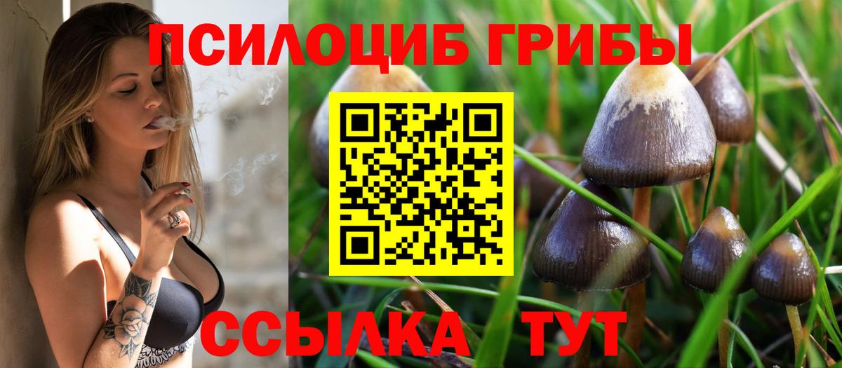 Новомосковск  Псилоцибиновые грибы MAGIC MUSHROOMS  Вход с VPN  Галлюциногенные грибы ЛСД 