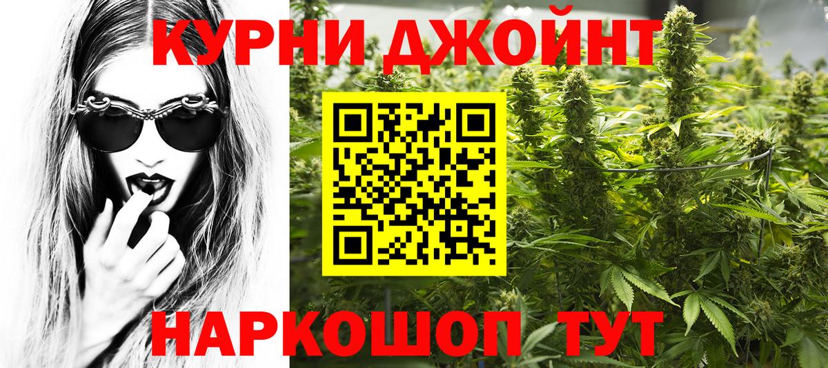Конопля сатива  Канабис тримм  Новомосковск  Вход с VPN  Каннабис план  Шишки марихуана ГИДРОПОН 
